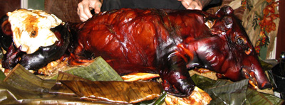 Roasted Pig